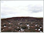 Bleara Lowe heather-clad burial mound near Earby, Lancashire